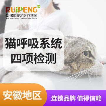 【安徽阿闻】猫呼吸系统PCR核酸检测 猫呼吸系统四项（PCR核酸检测）